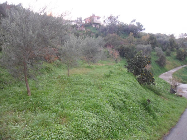 Foto 2 Casa con terreno vicino Rocca di Capri Leone (Mirto) MR02VF
